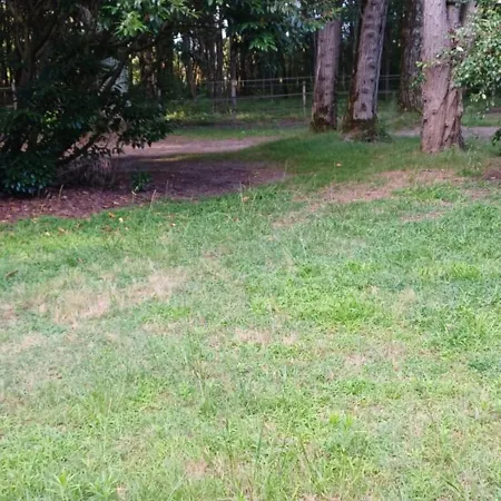 La Sapiniere * Saint-Vincent-de-Paul (Landes)