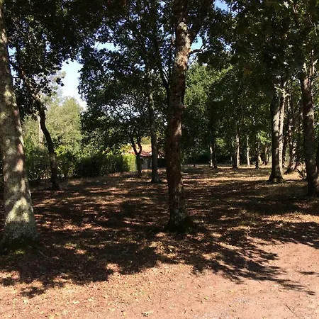 La Sapiniere Casa de Férias