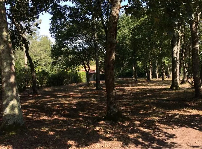 La Sapiniere Vakantiehuis