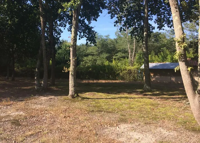 La Sapiniere Vakantiehuis Saint-Vincent-de-Paul (Landes)